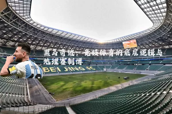 黑马奇迹：竞技体育的底层逻辑与地理赛制博弈